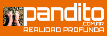 pandito.com.ar