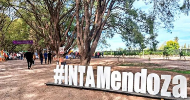 Desguace del INTA: los libertarios consiguieron 420 adhesiones al plan de retiros voluntarios y aspira a 1.200