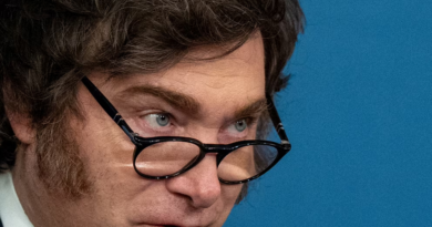 Una nueva encuesta midió el nivel de aprobación del gobierno de Javier Milei