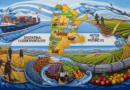 Mucho más territorio y dólares que Vaca Muerta: la agroindustria explica más del 70% de la exportación de la mitad de las provincias argentinas