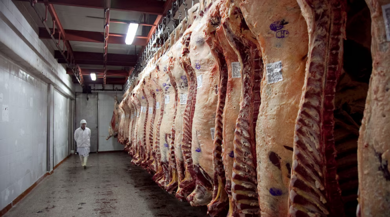 La escasez de hacienda profundiza el retroceso de la faena vacuna
