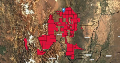 Ventanilla única en la cordillera de Mendoza: la estrategia de los distritos mineros para avanzar «en paquete»