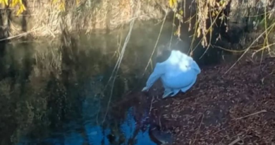 Afirman que los derrames cloacales en Corralitos generaron contaminación en Lavalle