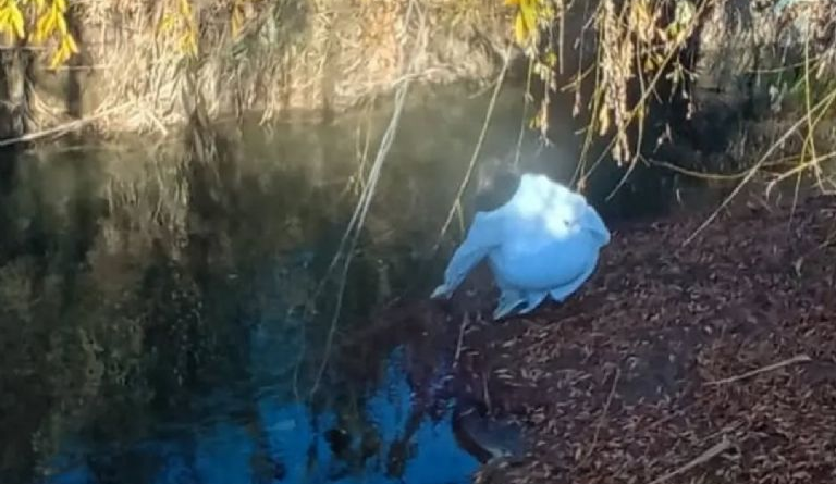 Afirman que los derrames cloacales en Corralitos generaron contaminación en Lavalle