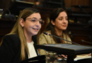 Denuncias ambientales georreferenciadas: de qué se trata el proyecto que aprobó el Senado por unanimidad