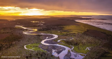 La venta de tierras a extranjeros puede cambiar para siempre quién controla los recursos estratégicos